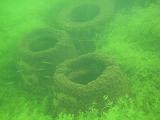 2009-08-02 10-27-25S